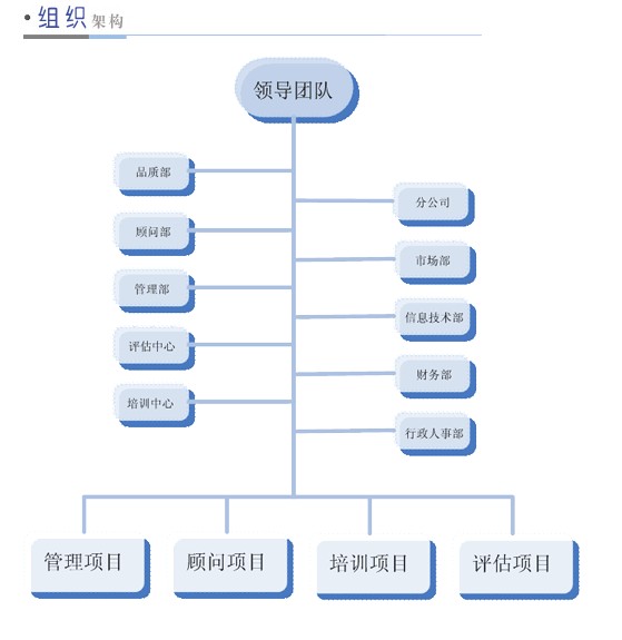 公司組織框架